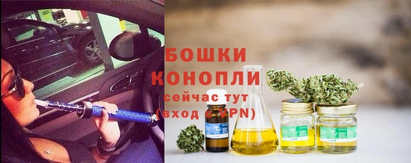 ПСИЛОЦИБИНОВЫЕ ГРИБЫ Михайловка