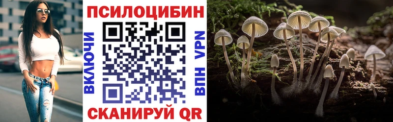 Галлюциногенные грибы мицелий  маркетплейс наркотические препараты  Долинск 