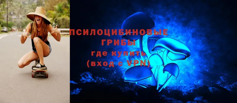 Галлюциногенные грибы Magic Shrooms  даркнет сайт  Долинск 